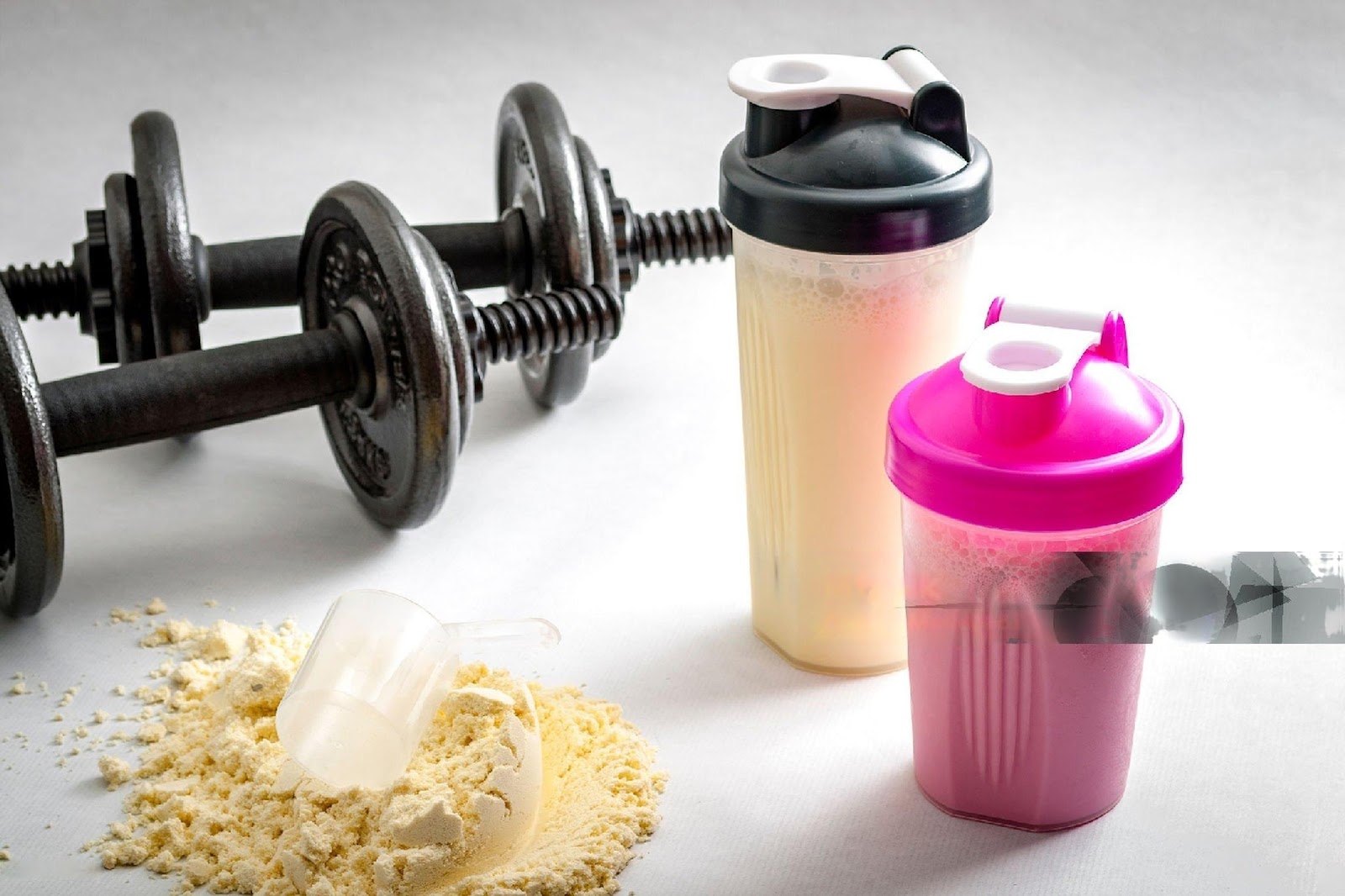 whey protein isolate