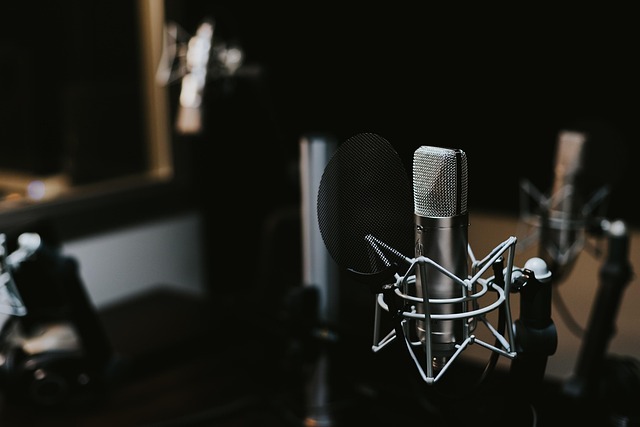 How to Use VSTs Plugin with GarageBand 5