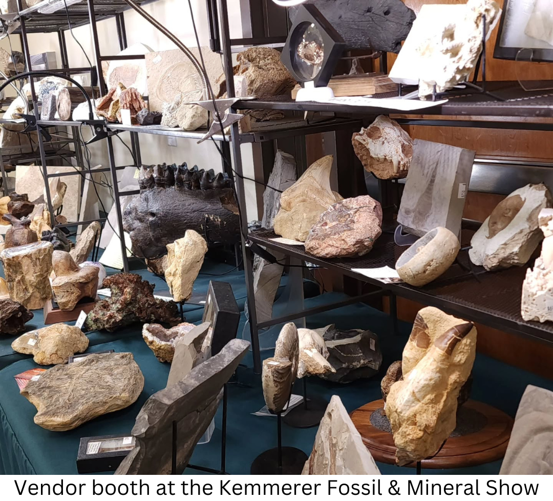 Vendor booth at the Kemmerer Fossil & Mineral Show