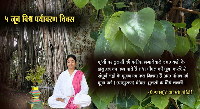 #WorldEnvironmentDay2025