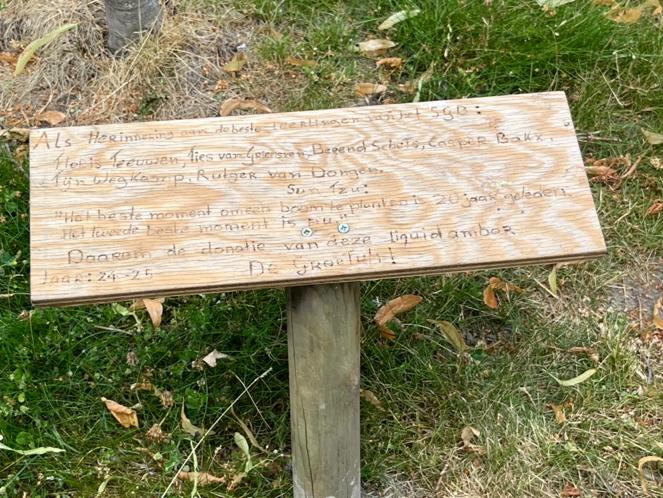 Afbeelding met buitenshuis, gras, plant, hout

Door AI gegenereerde inhoud is mogelijk onjuist.
