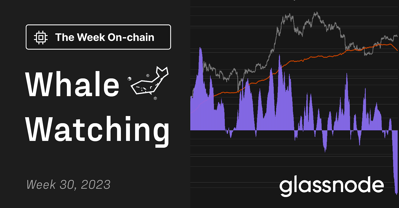 Crypto whale watching analysis