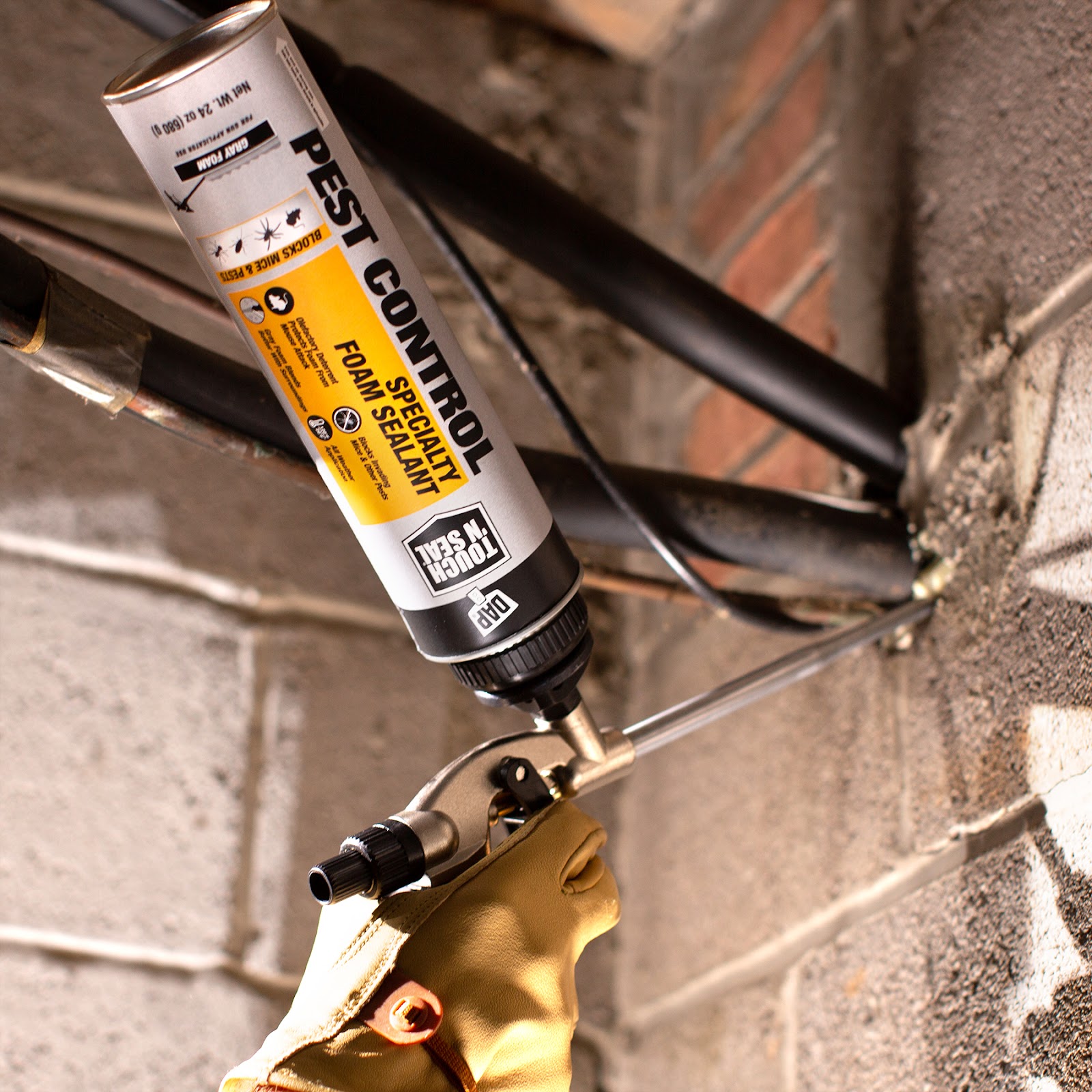home sealing for pest control