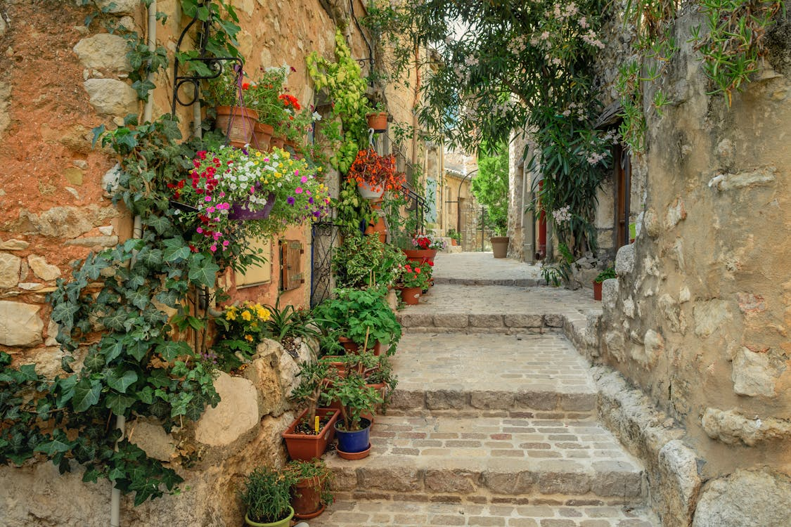 Top Places to Visit in France - Provence.