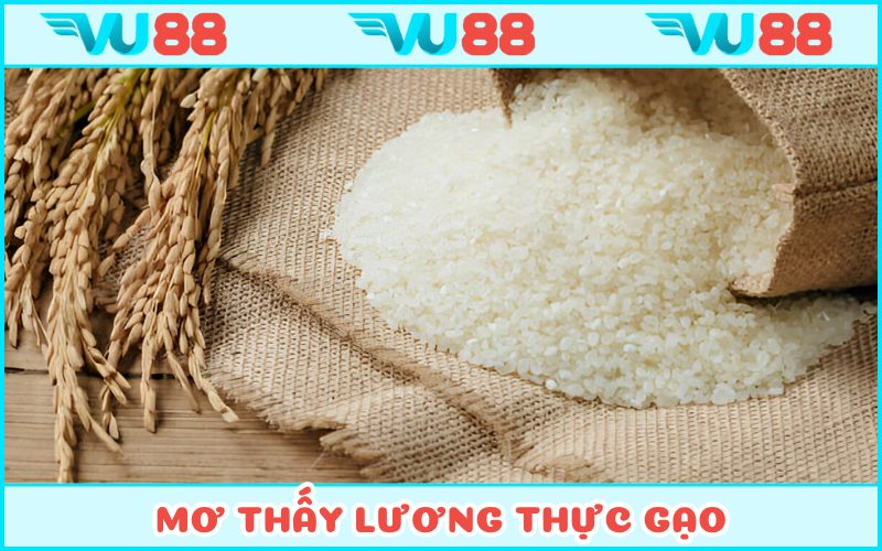 Mộng mị về gạo