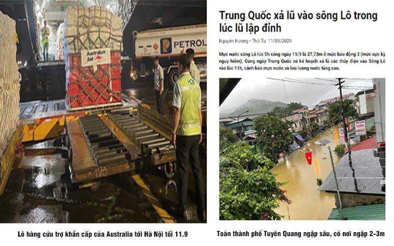 https://vietnamthoibao.org/wp-content/uploads/2024/09/Lu-lut-2.jpg