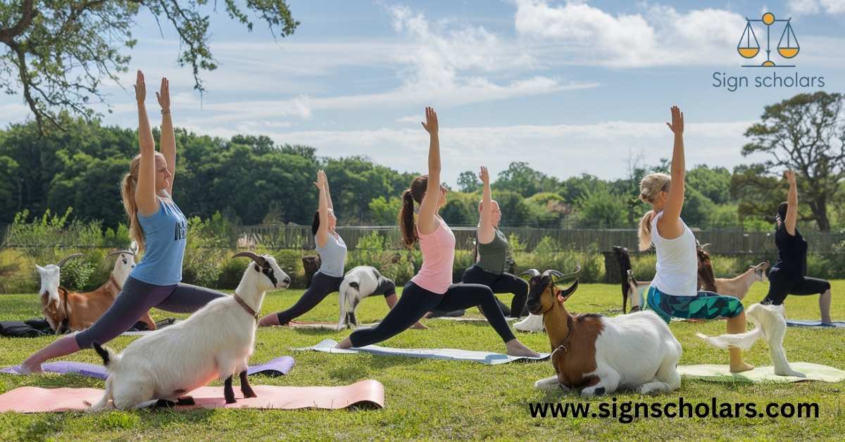 Goat Yoga: Ancient Wisdom Meets Modern Wellness