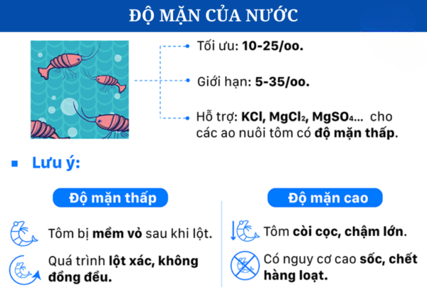 AD_4nXd-V0iMyuuD8QfcsJokm1cja3tnJ1ivcJjYzJZ0izsYI4kZw0uJOIEU8GQNDKFwdF4D-1h8Xqv2bfZZ3VnGSCA8fEplKeUQUPMnUol5Vp_vdZ3A_gfrqx7o7bfZCcH_rCr3wKX6?key=MVqEYYi3y1ZkdCXInvZi7dev