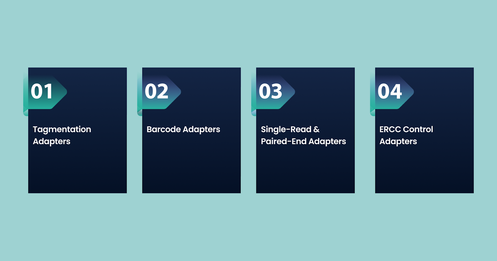 Adapter Types and Their Roles in RNA Sequencing