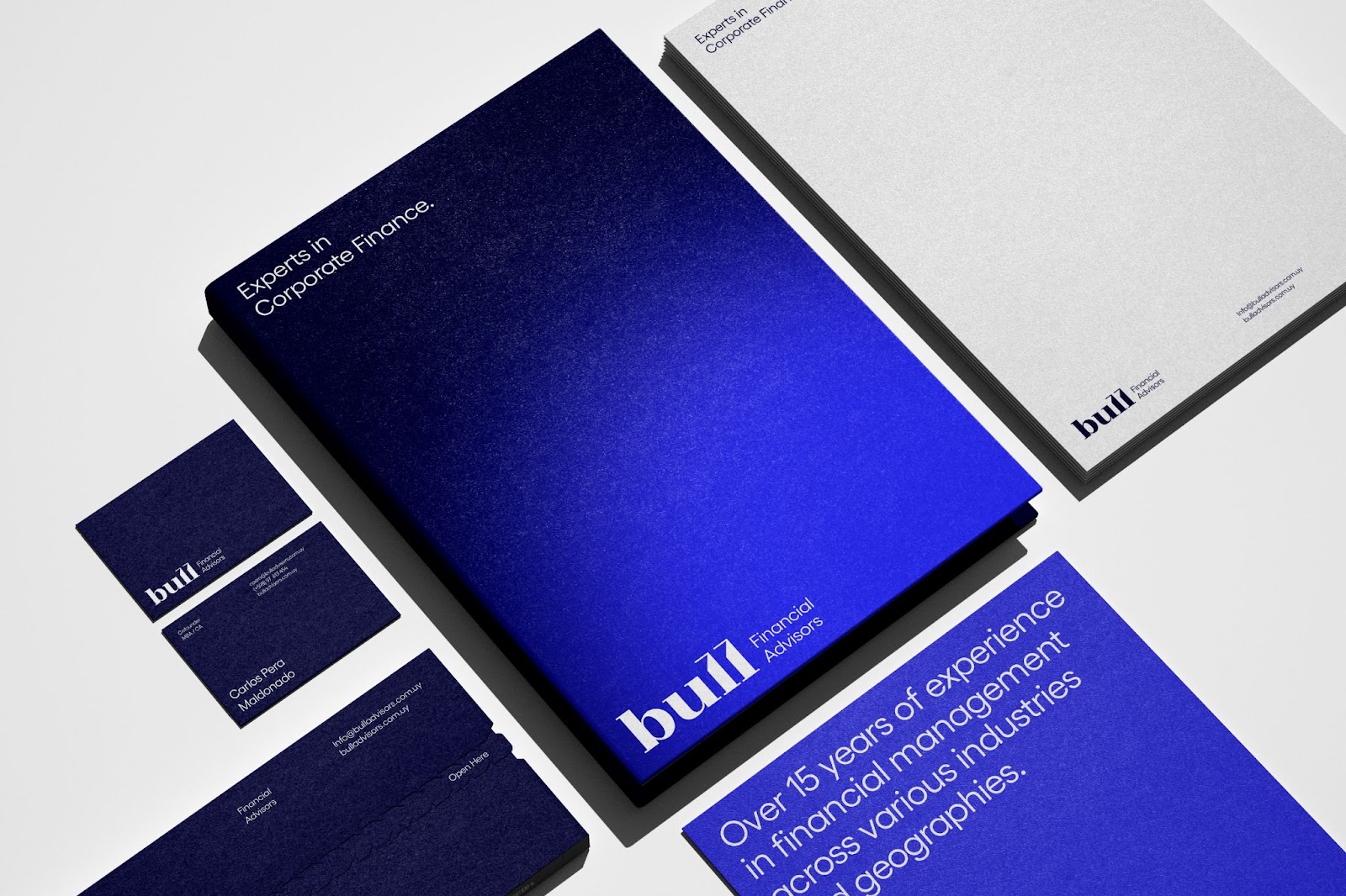 Image from the Bold Branding for Bull Advisors: A Vision of Sophistication article on Abduzeedo