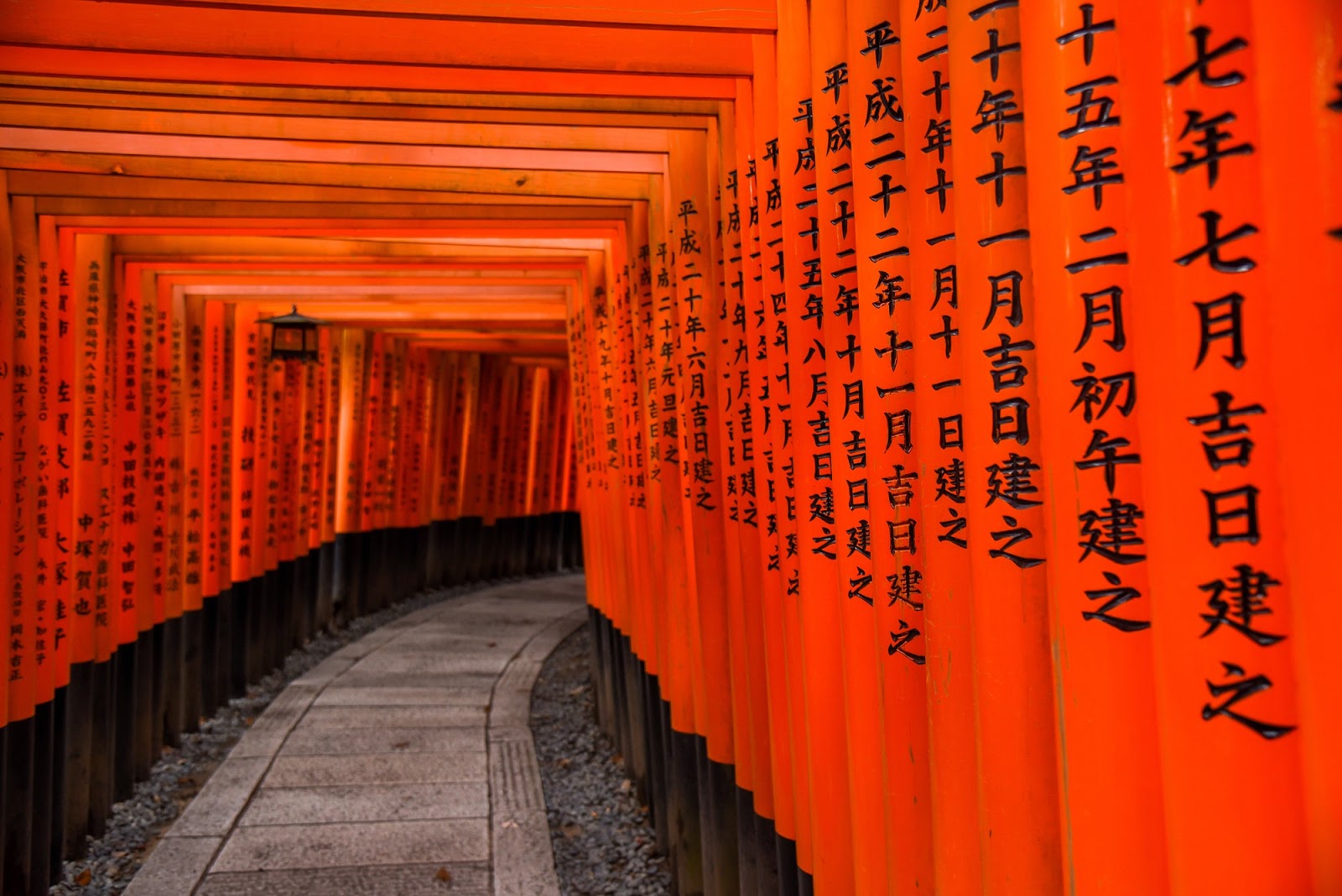 Fushimi Inari Shrine: Torii on Parade