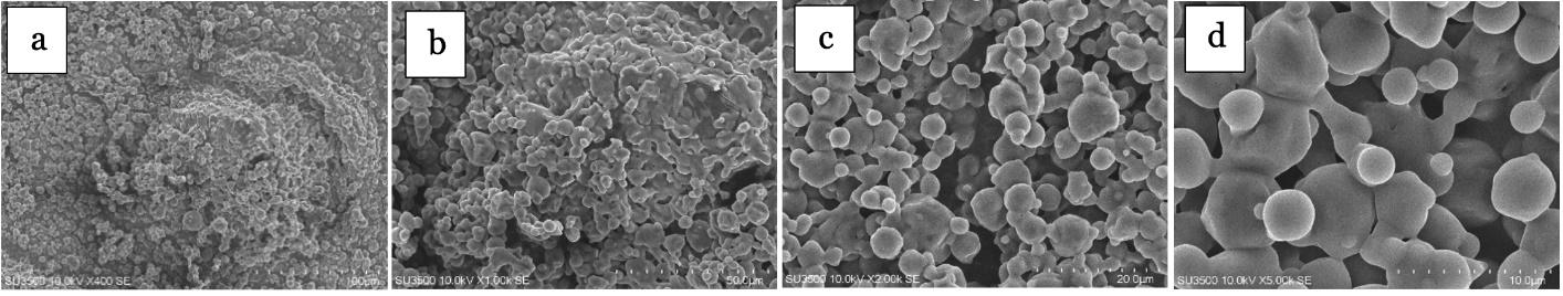 A close-up of a microscope

AI-generated content may be incorrect.