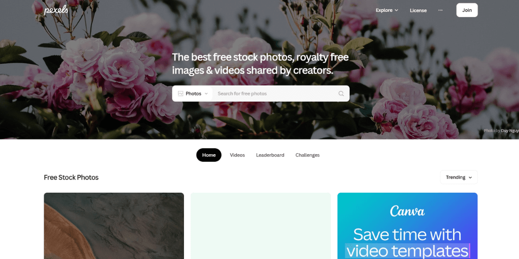 pexels home