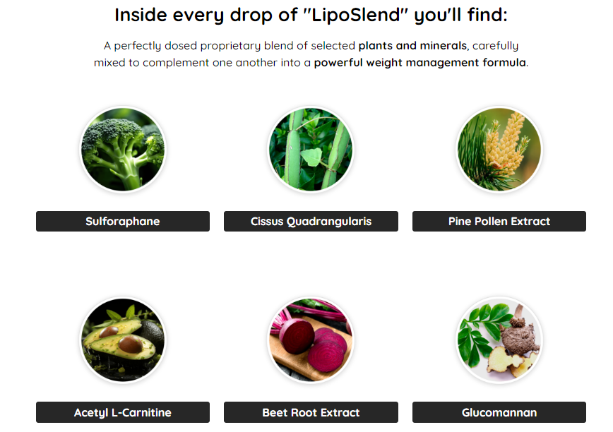 LipoSlend® | Official Website - #1 Weight Loss Supplement