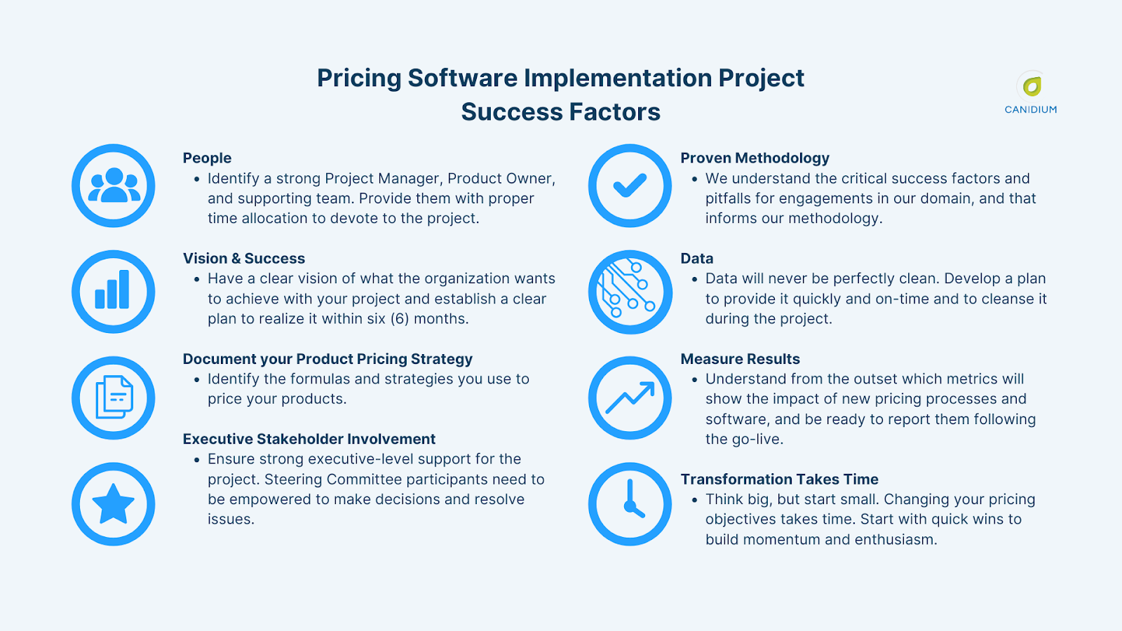 Pricing software implementation project success factors