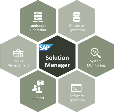 Grafico: Componentes de SAP Solution Manager Solman