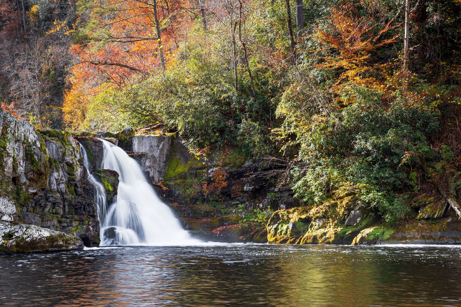 A waterfall cascades into a tranquil pool below, surrounded by foliage, the trees orange, yellow, and red, in Great Smoky Mountain National Park