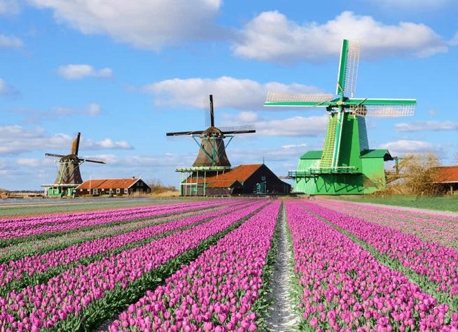 Tour Châu Âu 5 nước: Thưởng thức lễ hội hoa KEUKENHOF 2023 - Du lịch Quốc  tế Kim Liên