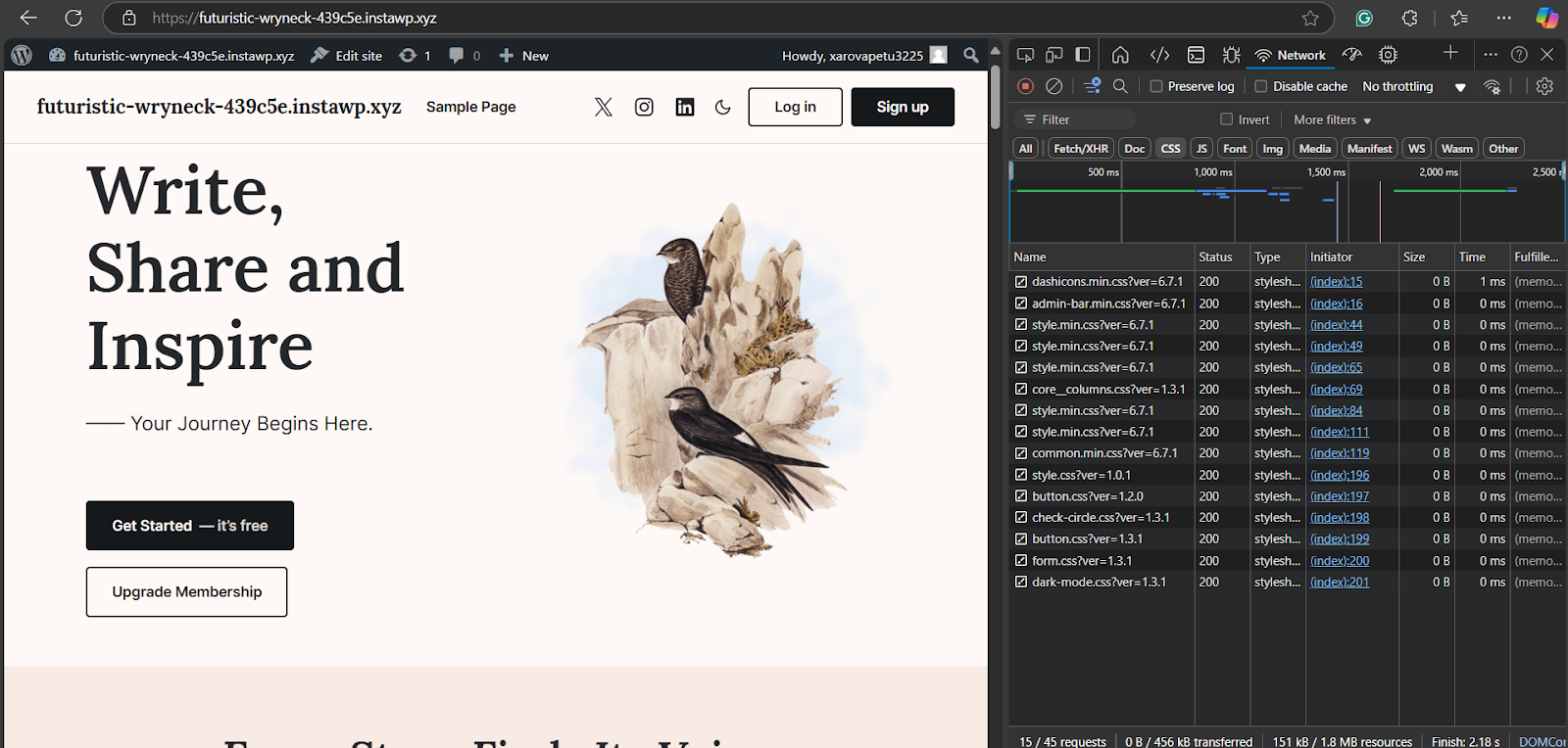 Inspect broken CSS in WordPress in Network Tab 
