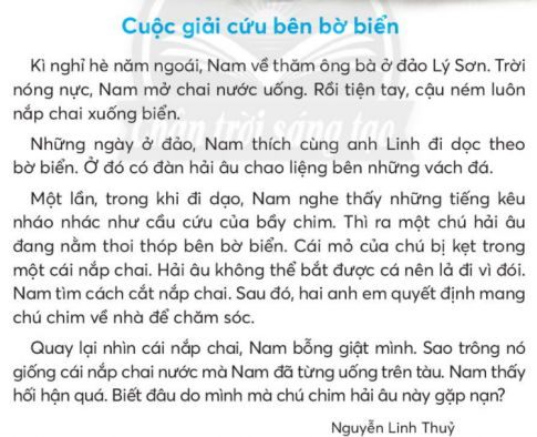 BÀI 6: CUỘC GIẢI CỨU BÊN BỜ BIỂNKHỞI ĐỘNGCâu hỏi: Chia sẻ với bạn về những điều em thấy trong bức tranh dưới đây:Giải nhanh: Bạn nhỏ và bố đang giúp đỡ một chú chim bị mắc kẹt do gãy cánh.KHÁM PHÁ VÀ LUYỆN TẬPCâu 1: Đọc:a. Nam đã làm gì với nắp chai nước sau khi uống xong?b. Nêu những việc Nam và anh Linh đã làm khi tìm thấy chú chim hải âu.c. Vì sao khi quay lại nhìn cái nắp chai, Nam lại cảm thấy hối hận?d. Em rút ra bài học gì sau khi đọc xong câu chuyện?Trả lời: a. Nam đã ném luôn nắp chai nước xuống biển sau khi uống xong.b. Những việc Nam và anh Linh đã mang chú về nhà chăm sóc khi tìm thấy chú chim hải âu.c. Khi quay lại nhìn cái nắp chai, Nam lại cảm thấy hối hận vì đó là chiếc nắp chai  mà Nam đã vứt.d. Em rút ra bài học sau khi đọc xong câu chuyện là: không được vứt rác bừa bãi, phải vứt rác đúng nơi quy định.Câu 2: Viết a. Nghe - viết:b. Tìm từ ngữ chứa tiếng bắt đầu bằng chữ d hay chữ gi phù hợp với từng bức tranh dưới đây:c. Chọn tiếng trong ngoặc đơn phù hợp với mỗi chỗ trống:Dòng sông quê (chong, trong) ... vắtBóng tre mát (chưa, trưa) ... hèVõng ầu ơ kẽo kẹtNgân điệu nhạc (chiều, triều) ... quê.Xây nhà trong (kẻ, kẽ) ... đá                  Có ích dù việc nhỏKiếm mồi trên cỏ khô                            Chim (vần, vẫn) ... say sưa làmNgay từ sáng tinh mơ                            Tối về xếp mào (ngủ, ngũ)...Chim (đả, đã)... lùng sâu bọ                   Nghe cây rừng râm ran.Giải nhanh: a. Nghe - viết.b. Dắt tay, dang quạt, con dơi, giàn mướp.c.  Trong, trưa, chiềuKẽ, đãVẫn, ngủCâu 3: Giải ô chữ sau:1. Hiện tượng nước rơi từ các đám mây xuống mặt đất.2. Mọc đằng đông, lặn dằng tây.3. Chiếu sáng vào ban đêm, có hình dạng thay đổi từ khuyết điểm đến tròn và ngược lại.4. Vùng đất rộng có nước bao quanh, thường là ở biển.5. Tiếng nổ rền vang khi trời có dông.6. Hiện tượng nước dâng cao do mưa lũ gây ra, làm ngập cả một vùng rộng lớn.Trả lời:Giải ô chữ:1- mưa2- mặt trời3- mặt trăng4- đảo5- sấm6- lụtCâu 4: Đặt 2 - 3 sự vật tìm được ở bài tập 3 và đặt câu (theo mẫu).Trả lời: Đặt câuMặt trăng cong như lưỡi liềm.Mưa càng lúc làng to, ngập cả sân nhà em.Câu 5: Kể chuyệna. Xem tranh, nói 2 - 3 câu về nội dung từ bức tranh.b. Kể từng đoạn của câu chuyện theo tranh và từ ngữ gợi ý tranh.c. Kể lại toàn bộ câu chuyện.Trả lời: a.b.c.Ngày như thế nào là đẹp?Châu Chấu nhảy lên gò, chìa cái lưng màu xanh ra phơi nắng. Nó búng chân tanh tách, cọ giũa đôi càng :- Một ngày tuyệt đẹp !- Thật khó chịu ! – Giun Đất thốt lên, cố rúc đầu sâu thêm vào lớp đất khô.- Thế là thế nào ? – Châu Chấu nhảy lên – Trên trời không một gợn mây, mặt trời tỏa nắng huy hoàng.- Không ! Mưa bụi và những vũng nước đục, đó mới là một ngày tuyệt đẹp ! Giun Đất cãi lại.Châu Chấu không đồng ý với Giun Đất. Chúng quyết định đi hỏi.Vừa hay lúc đó kiến tha nhành lá thông đi qua, đỗ lại nghỉ.Châu Chấu hỏi Kiến :- Kiến ơi, hãy nói giúp xem hôm nay là một ngày tuyệt đẹp hay đáng ghét ?Kiến lau mồ hôi, ngẫm nghĩ một lát rồi nói :- Tôi sẽ trả lời câu hỏi của các bạn sau khi mặt trời lặn nhé.Mặt trời lặn, chúng đi đến tổ kiến.- Hôm nay là ngày như thế nào hả bác Kiến đáng kính ?- Hôm nay là một ngày tuyệt đẹp ! tôi đã làm việc rất tốt và bây giờ có thể nghỉ ngơi thoải mái.Câu 6: Luyện tập nói, viết về tình cảm với một sự việc.a. Nói về tình cảm của em khi được đi tham quan, du lịch dựa vào gợi ý:Em được đi tham quan, du lịch nhân dịp gì? Với ai?Em biết thêm điều gì trong chuyến đi?Em cảm thấy thế nào khi được tham quan, du lịch?b. Viết 4 - 4 câu về nội dung em vừa nói.Giải nhanh:a.Nhân dịp nghỉ Tết với gia đình, em đi du lịchEm biết thêm được cảnh vật cũng như con người trong chuyến đi.Em cảm thấy vui vẻ và hạnh phúc khi được tham quan, du lịch.b. Nhân dịp nghỉ Tết, gia đình em đã cùng đi du lịch đả Cô Tô. Nơi đây đẹp vô cùng, vẫn giữ nguyên được vẻ hoang sơ, gần gũi với thiên nhiên. Con người nơi đây rất thân thiệt. Em cảm thấy rất hạnh phúc và vui vẻ sau chuyến đi.VẬN DỤNG