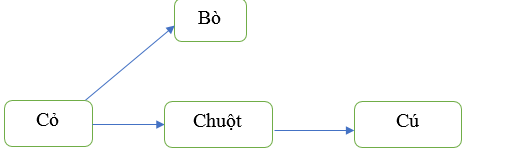 BÀI 23: VAI TRÒ CỦA THỰC VẬT TRONG CHUỖI THỨC ĂN