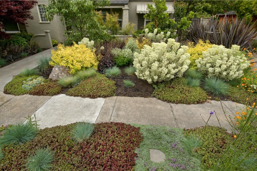 Ground Cover Ideas Based on Yard Conditions Ground Cover Ideas Based on Yard Conditions