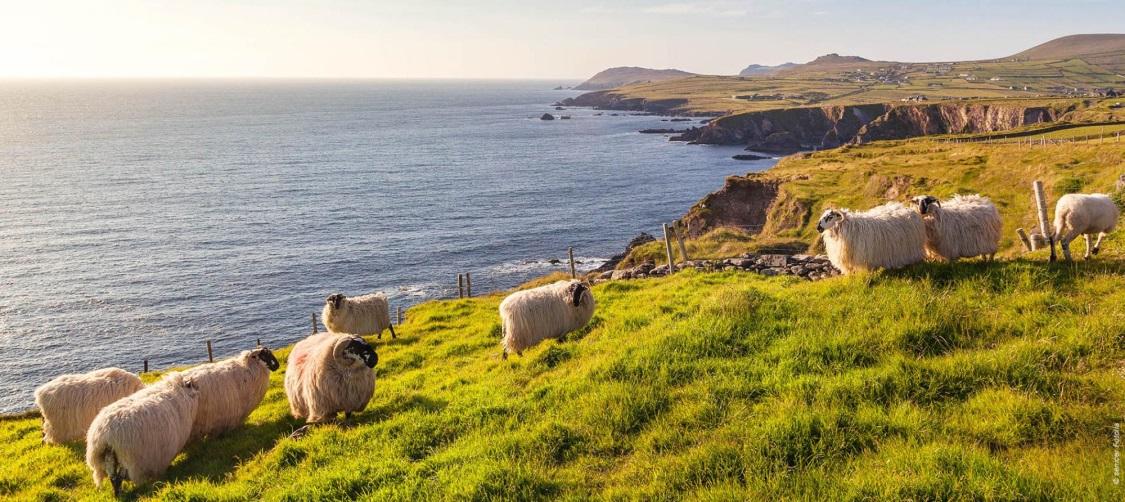 Randonnée Irlande : trek, voyage et circuit