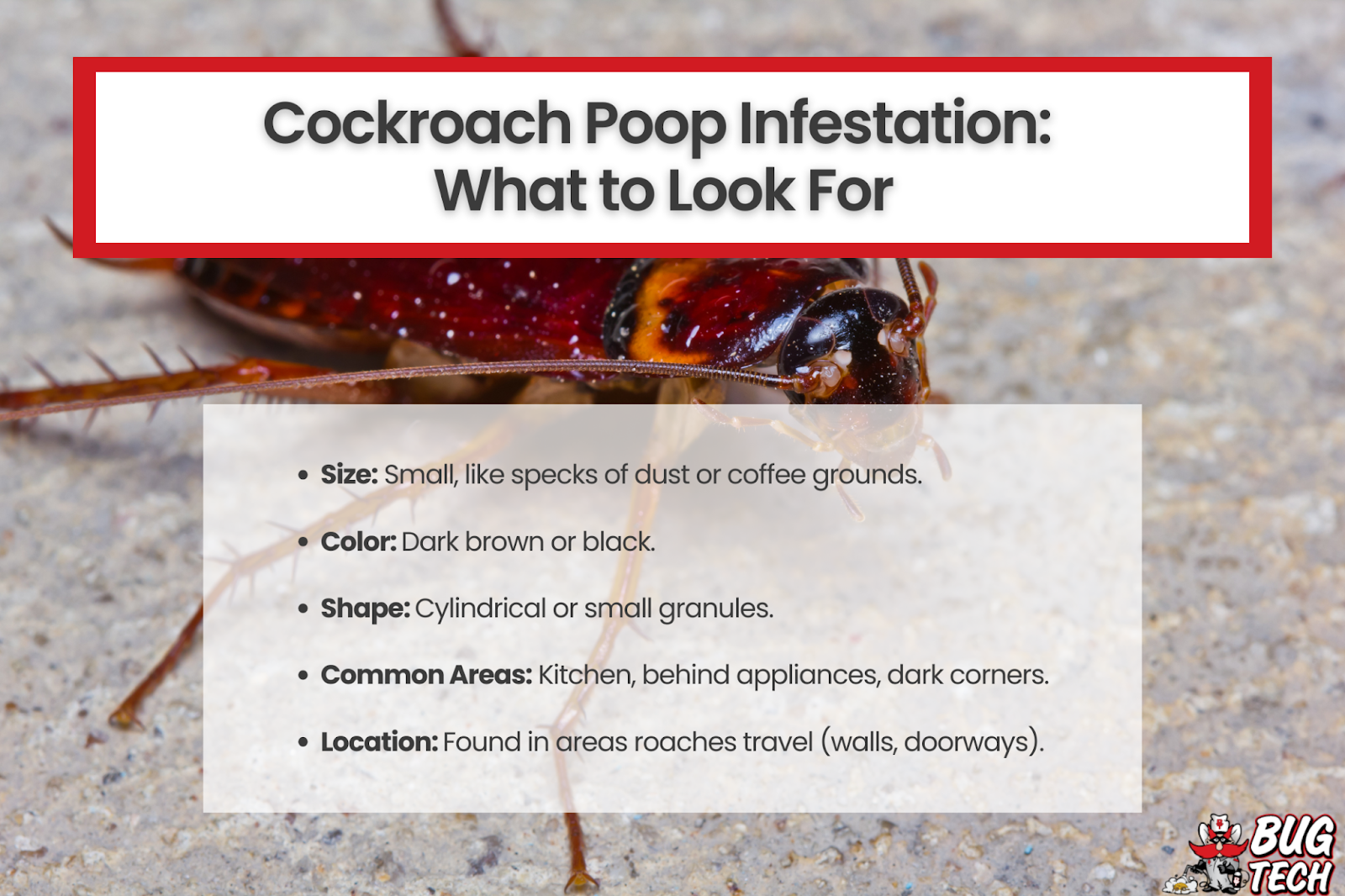 Cockroach poop infographic