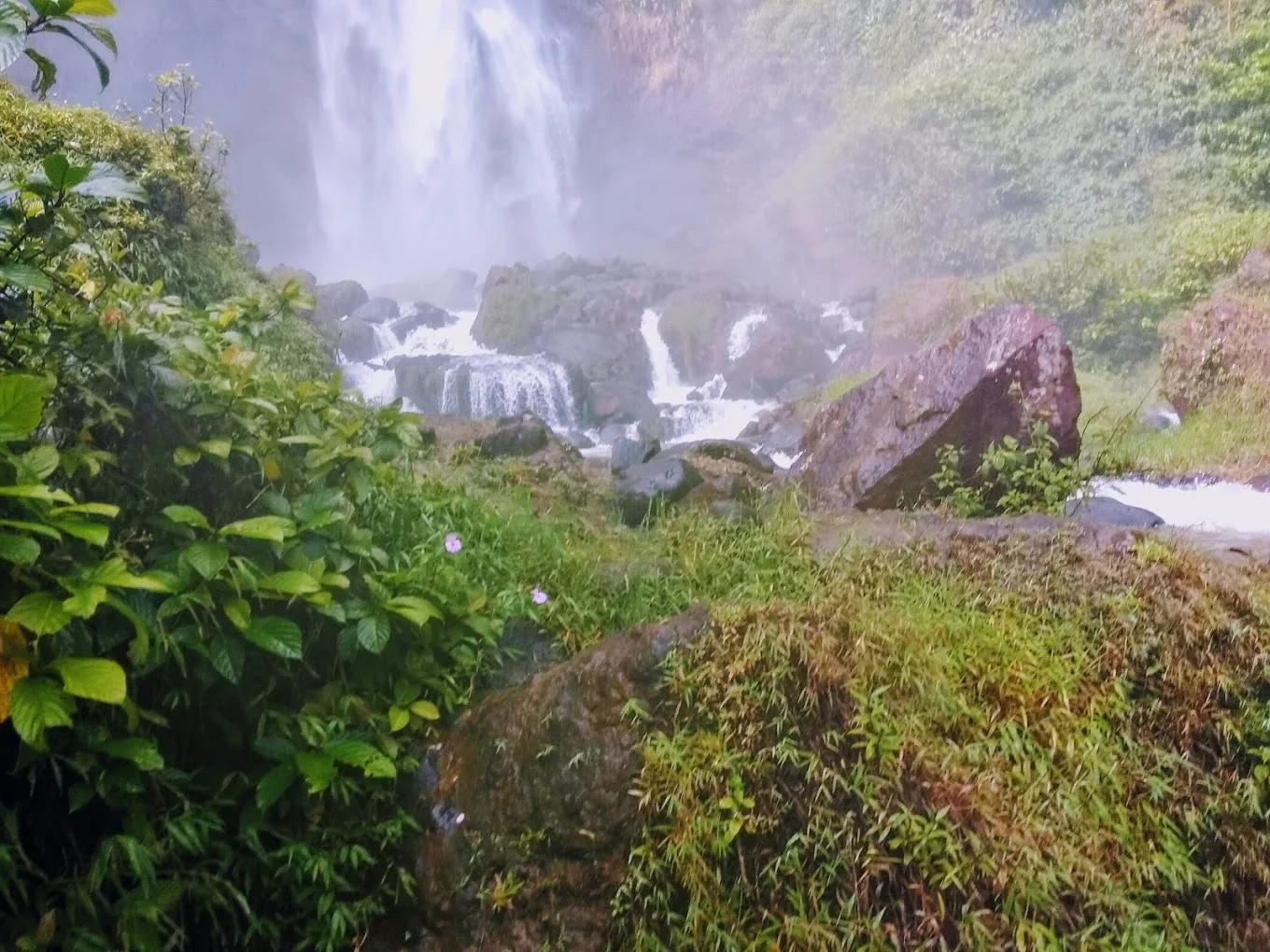 Curug Kubang di balik pepohonan