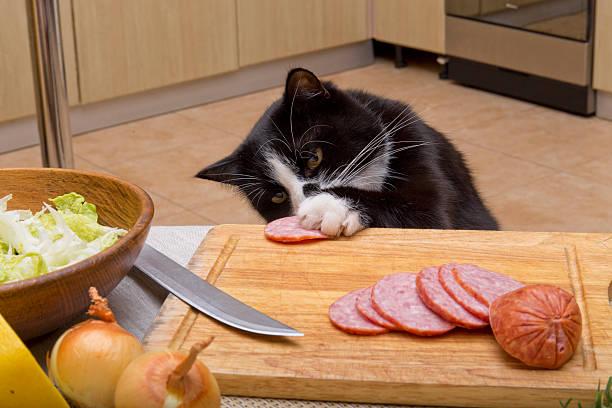 A cat eating meat on a cutting board

Description automatically generated