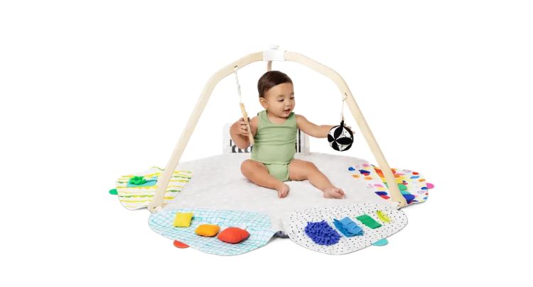 The Play Gym