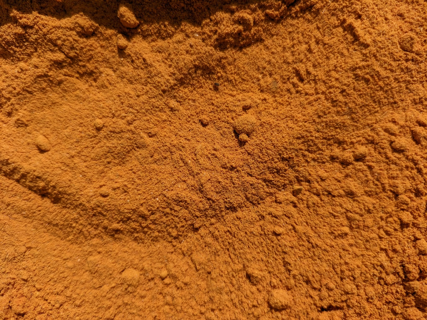 Turmeric powder