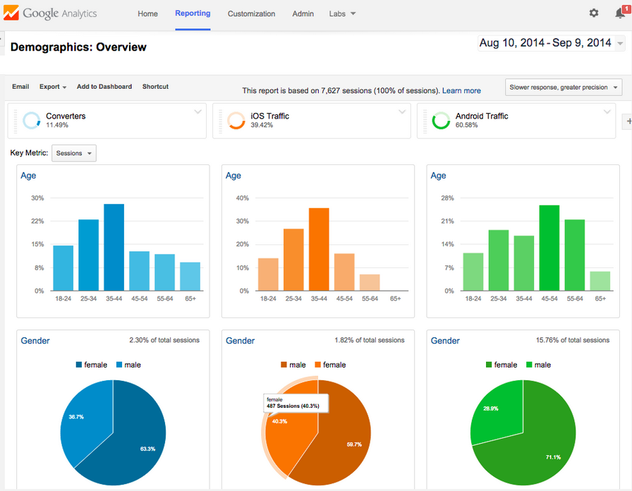 Google Analytics Audience Insights and Demographics