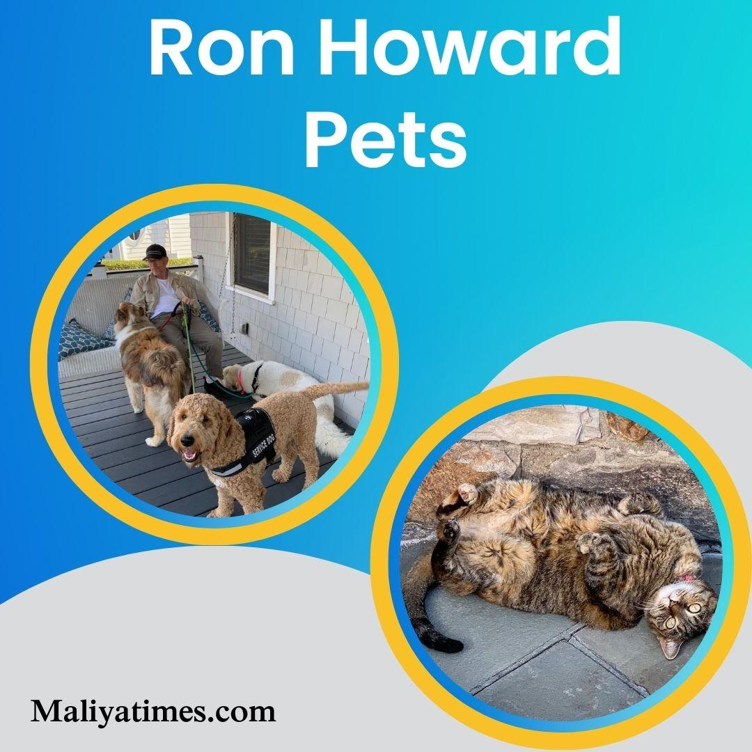 Ron Howard Pets Cat & Dog