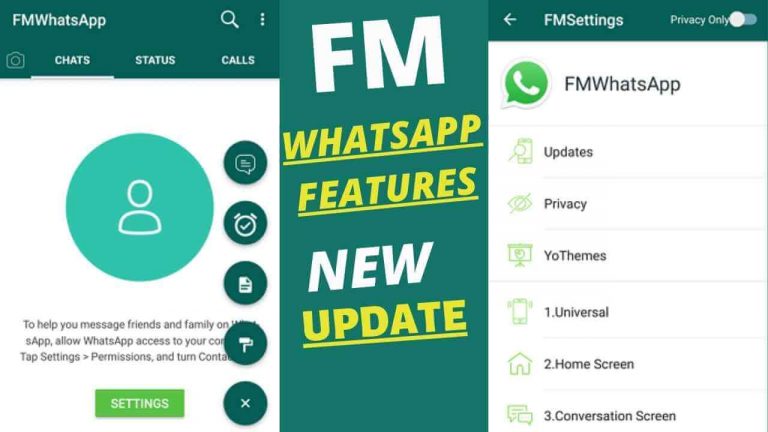 Cara Mengunduh dan Mengatur FMWhatsApp untuk Privasi dan Kustomisasi Terbaik