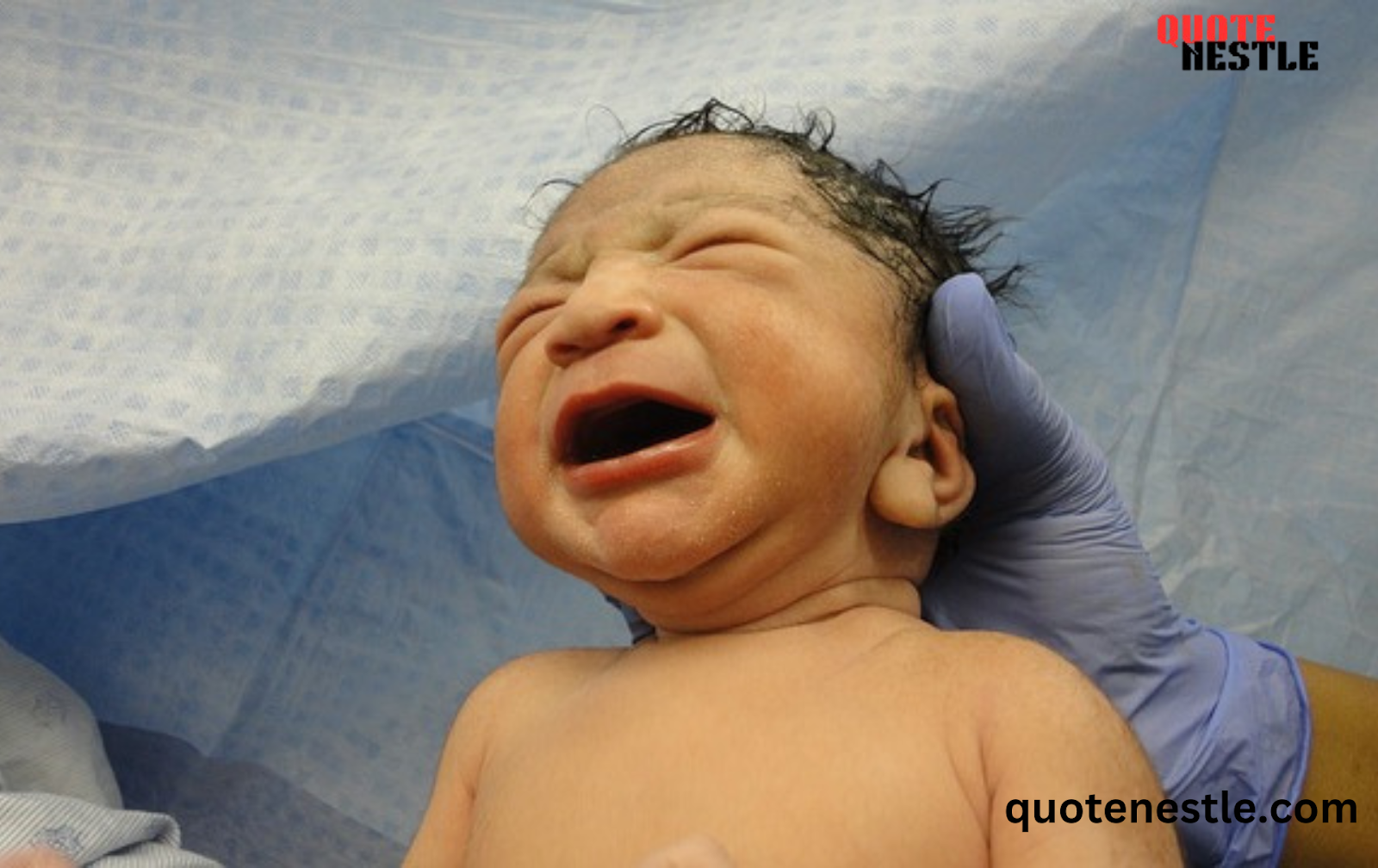 Cute Quotes on Birth