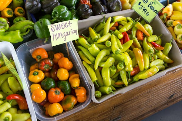 How Food Blogger USA Finds the Best Local Bites