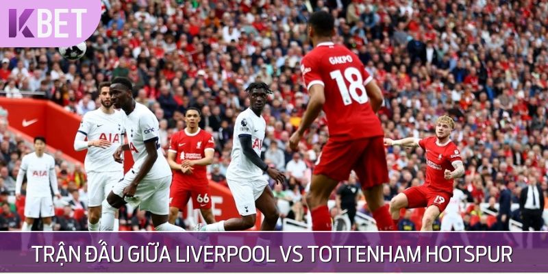 trận đấu giữa liver vs tottenham