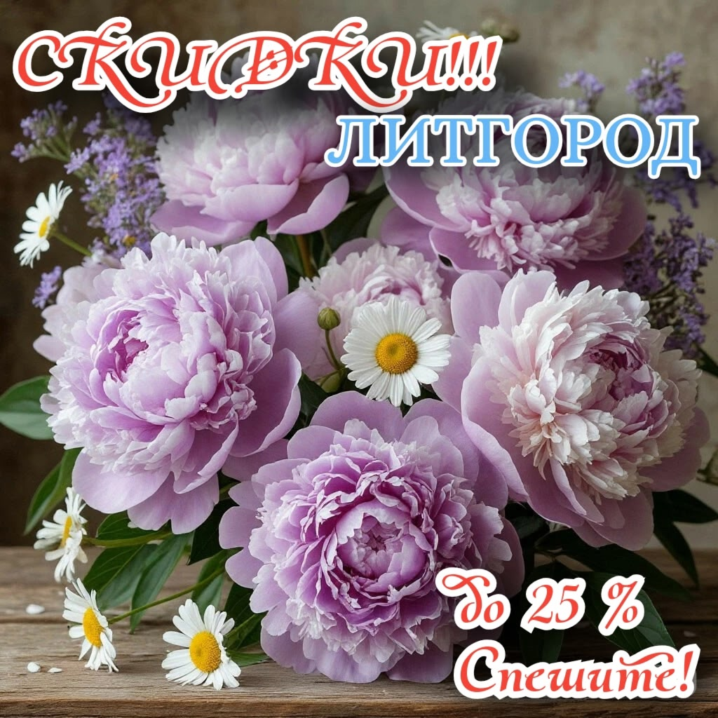 СКИДКИ до 25% !!!