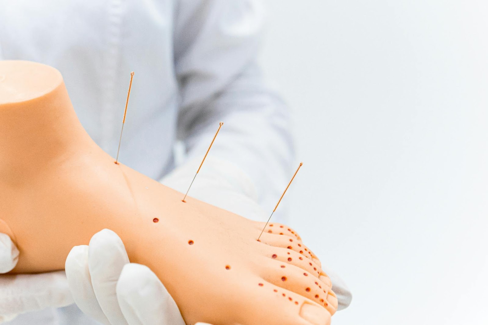 https://www.pexels.com/photo/a-person-holding-a-foot-acupuncture-model-6094092/