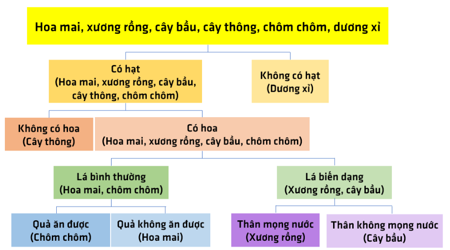 BÀI 34: TÌM HIỂU SINH VẬT NGOÀI THIÊN NHIÊNBÁO CÁO THỰC HÀNH