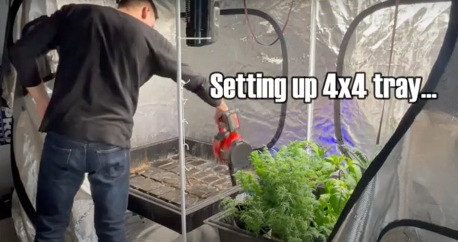 expanding your indoor garden by setting up tray