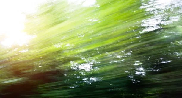 20 Nature Photos with Balanced Composition, visual balance, perfect frame, nature, landscape, scenic layout, harmony in view