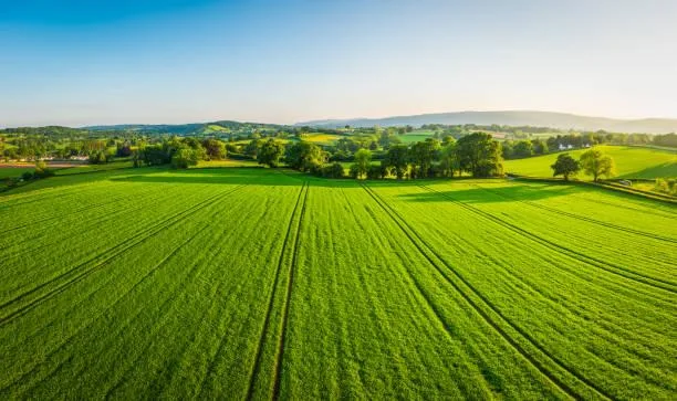 15 Windy Landscapes Full of Movement & Mood, wind-blown nature, dynamic scenes, nature, forest, landscape, flowing grass, swaying trees