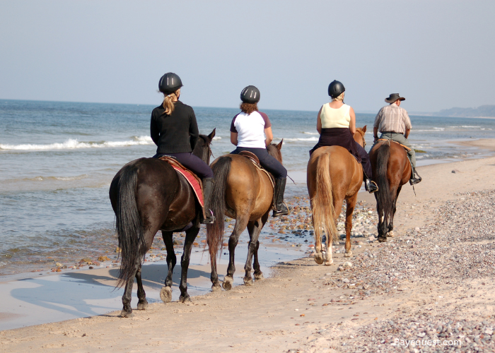 Best Horseback Riding Vacations