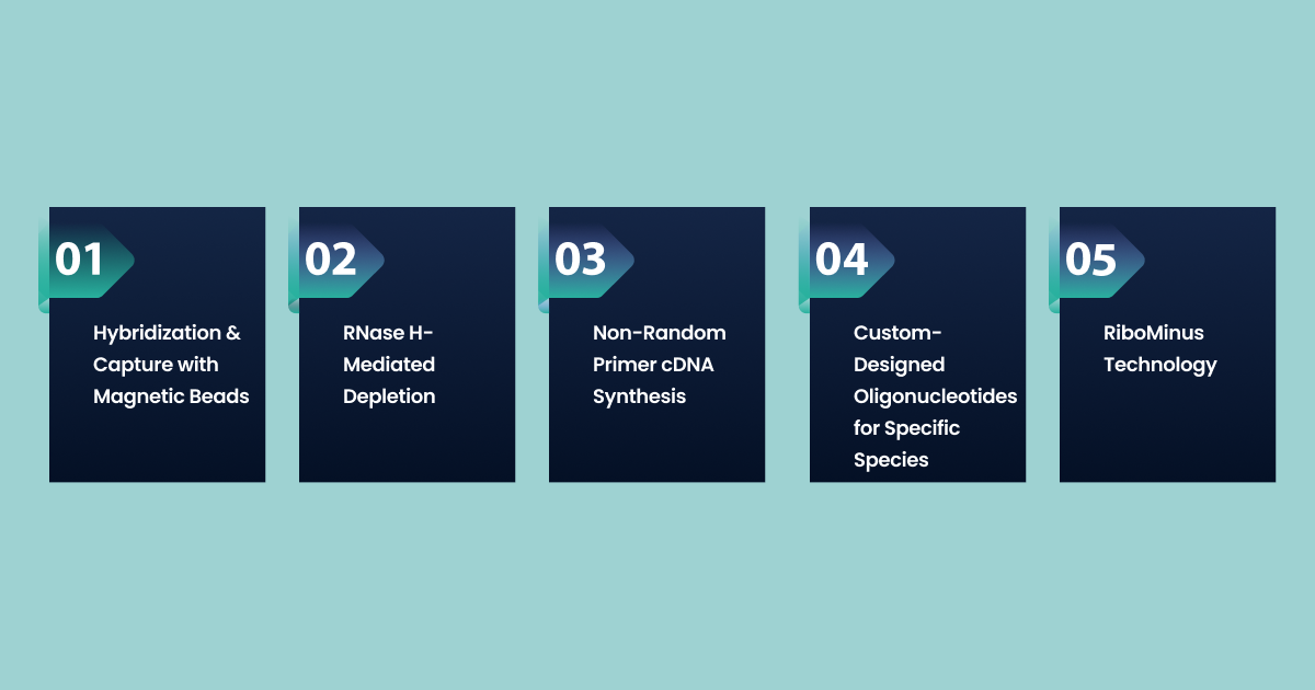 Techniques for RNA Depletion: Methods for Enhanced RNA Isolation
