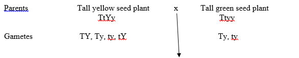 NCERT Solutions For Class 12 Biology Chapter 5-4