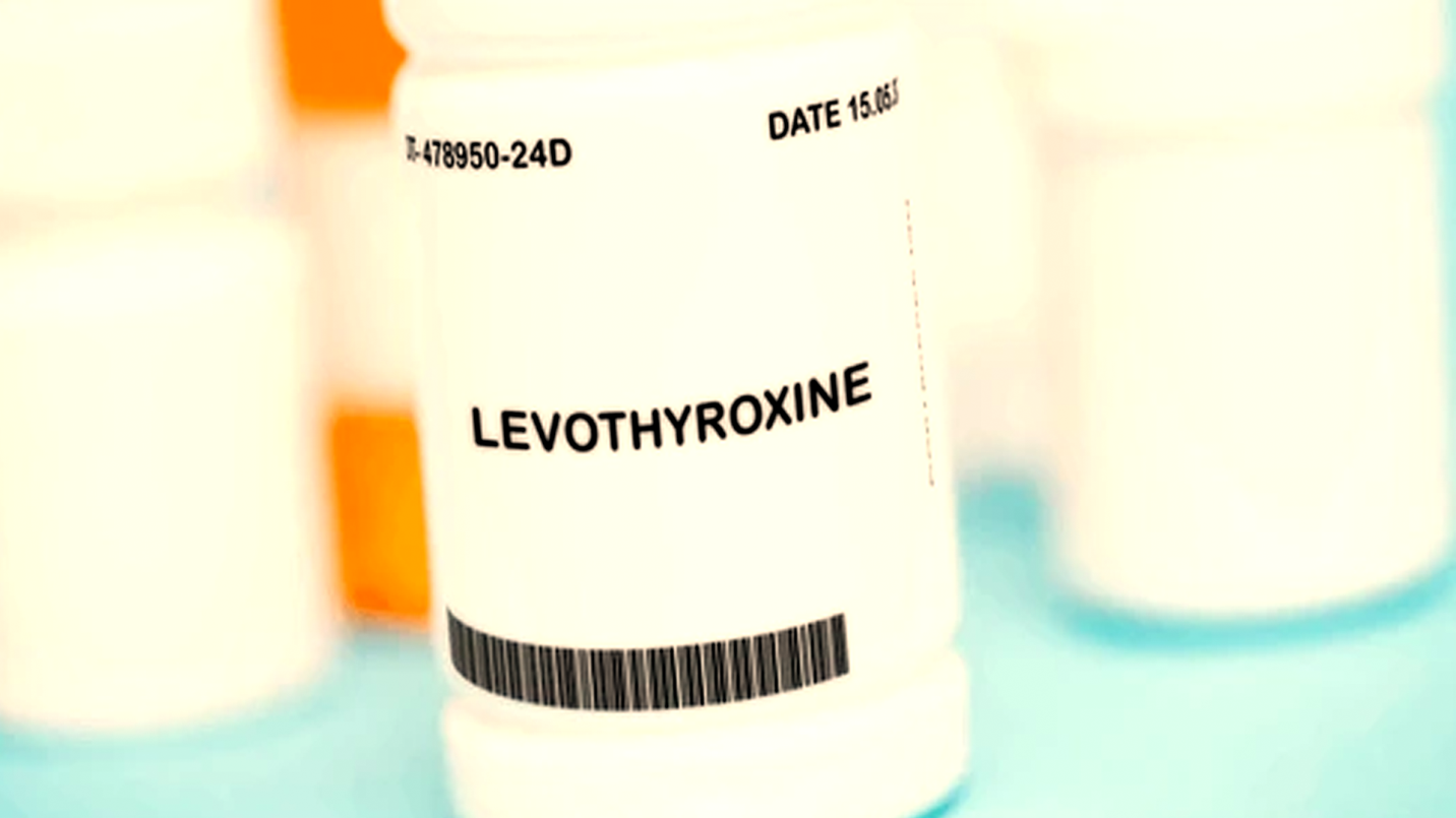 armour thyroid vs levothyroxine