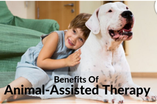 Role of Animal-Assisted Therapy