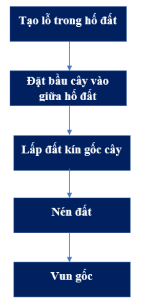 ÔN TẬPCHỦ ĐỀ 1 . TRỒNG TRỌT VÀ LÂM NGHIỆP1. HỆ THỐNG HÓA KIẾN THỨC Câu hỏi: Em hãy hoàn thành sơ đồ theo mẫu dưới đâyĐáp án chuẩn:- Nhóm cây trồng: Cây lương thực, cây thực phẩm, cây công nghiệp, cây ăn quả, cây hằng năm, cây lâu năm- Vai trò: Thức ăn cho chăn nuôi, nguyên liệu cho công nghiệp chế biến thực phẩm- Phương thức trồng trọt: Trồng ngoài trời, trong nhà có mái che- Ngành nghề trồng trọt: chọn tạo giống cây trồng, trồng trọt, bảo vệ thực vật, khuyến nông- Giâm cành: Chọn cành, cắt cành, xử lí cành, cắm cành, chăm sóc cành giâm- Quy trình trồng trọt: Làm đất, bón lót; gieo trồng; chăm sóc, thu hoạchLÂM NGHIỆP- Vai trò của rừng: Điều hòa không khí, chống xói mòn đất, giữ nước, giảm lũ lụt- Các loại rừng: Rừng đặc dụng, rừng phòng hộ, rừng sản xuất- Các bước làm đất trồng rừng: Phát dọn cây, cỏ dại; đào hố, trộn đất màu với phân bón; lắp đất màu đã trộn phân bón vào hố trước; cuốc thêm đất xung quanh, loại bỏ cỏ và lắp đầy hố- Trồng cây con có bầu: Tạo lỗ trong hố đất, rạch túi bầu, đặt bầu cây vào giữa hố đất; lấp đất và nén lần 1 + 2, vun gốc- Trồng cây con rễ trần: Tạo lỗ trong hố đất, đặt bầu cây vào giữa hố đất, lấp đất kín gốc cây, nén đất, vun gốc- Biện pháp: Làm hàng rào bảo vệ rừng, xới đất, vun gốc cho cây rừng- Biện pháp bảo vệ rừng: Tổ chức định canh, định cư cho người dân, nghiêm cấm và ngăn chặn hành vi phá rừng2. LUYỆN TẬP VÀ VẬN DỤNG